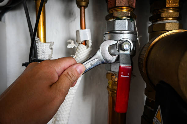 Best Affordable Plumbing Services  in Indian Head Park, IL